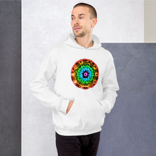 Load image into Gallery viewer, 432 Unisex Hoodie