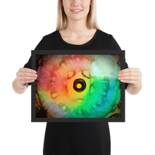 Load image into Gallery viewer, MLH 432 EYE Artwork From Mother Nature Framed photo!