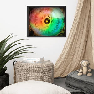 MLH 432 EYE Artwork From Mother Nature Framed photo!