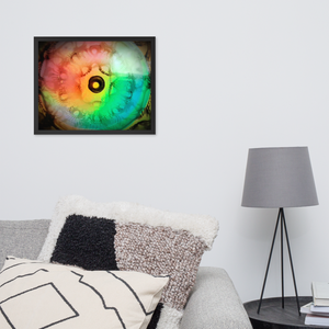 MLH 432 EYE Artwork From Mother Nature Framed photo!