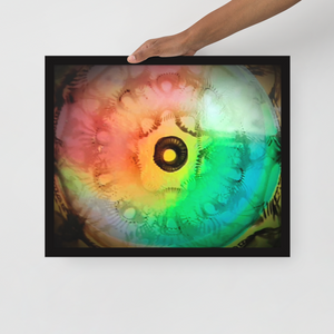 MLH 432 EYE Artwork From Mother Nature Framed photo!