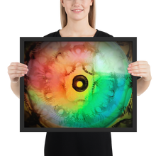 Load image into Gallery viewer, MLH 432 EYE Artwork From Mother Nature Framed photo!