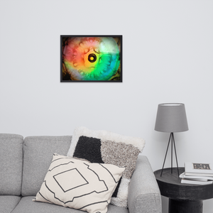 MLH 432 EYE Artwork From Mother Nature Framed photo!