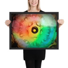 Load image into Gallery viewer, MLH 432 EYE Artwork From Mother Nature Framed photo!
