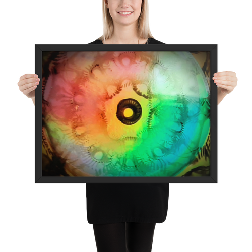 MLH 432 EYE Artwork From Mother Nature Framed photo!